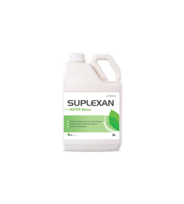 SUPLEXAN® ANTI Stress