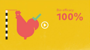 100% فعالية حيوية وأكثر من 99% نقاء: DLM (الميثيونين البلوري الجاف) MetAMINO® يدعم النمو المثالي للحيوانات الأليفة، وإنتاجية اللحم، والأداء. على عكس الميثيونين السائل، فإنه لا يضيف كتلة غير ضرورية إلى خليط العلف، مما يؤدي إلى تقليل الإجهاد الأيضي على الحيوانات الأليفة. MetAMINO® لا يسهل فقط تحسين العلف، بل يدعمه أيضًا مجموعة من مفاهيم خدمة AMINO المتنوعة.