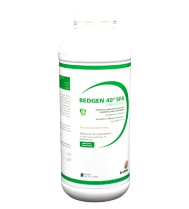 BEDGEN 40 SFA